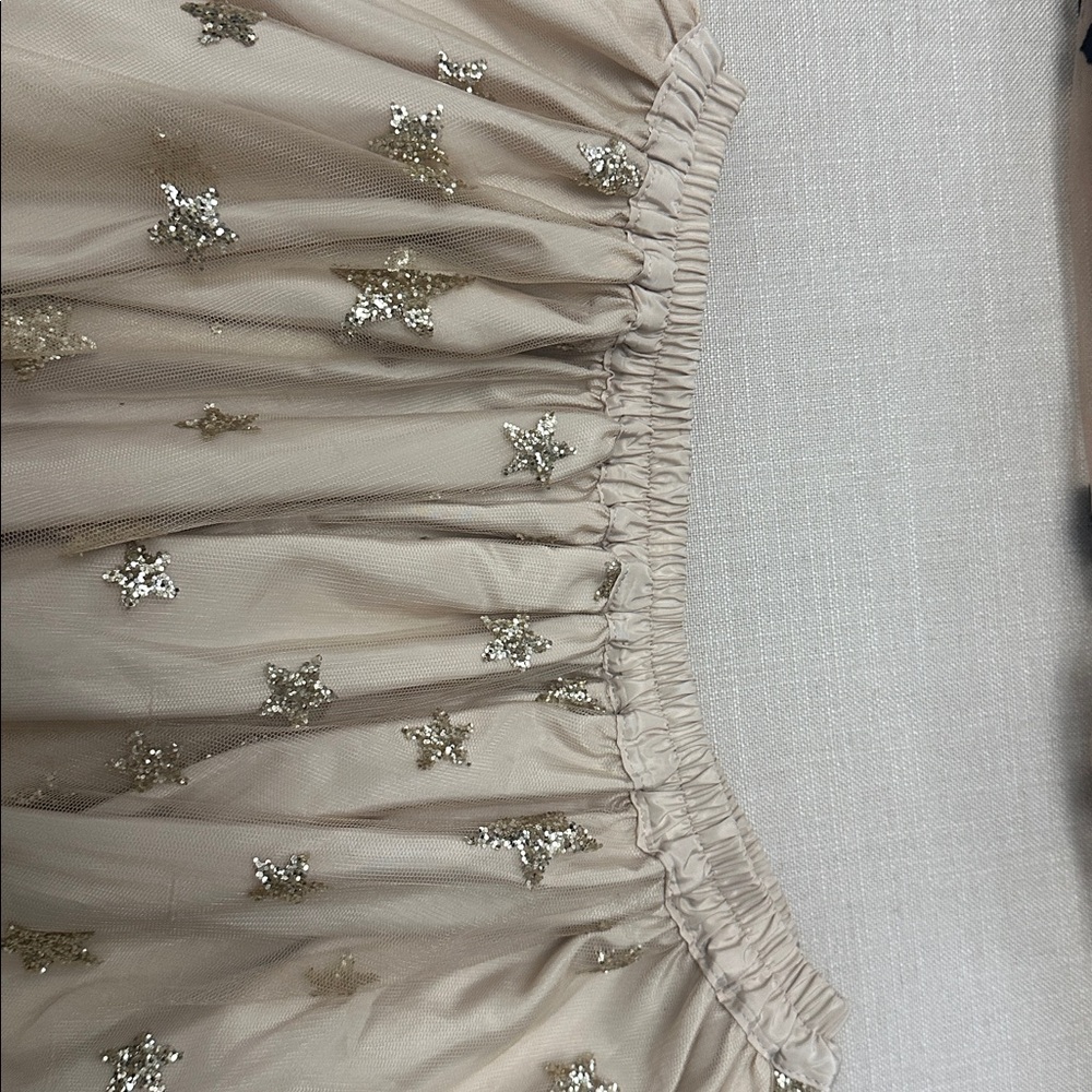 Lirika Matoshi Beige Tulle A-Line Skirt with Gold Star Embellishments - Picture 7 of 7